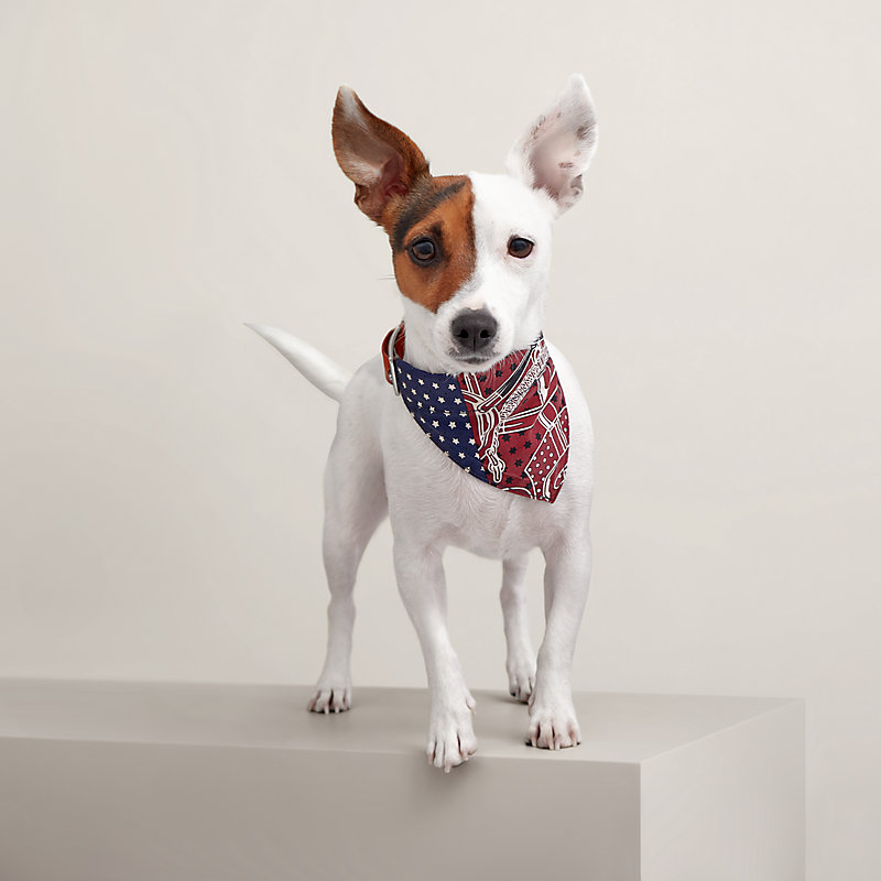 Bandana pour chien Eperon d Or S Hermes France